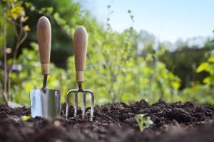 The Ultimate Guide to Choosing the Right Garden Supplies